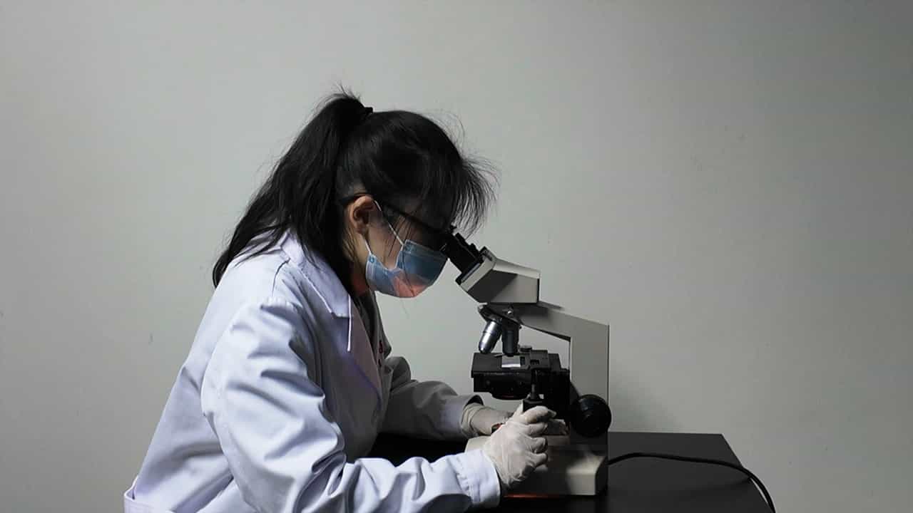 Author Spotlight: Development and Evaluation of a Compound Acne Rodent Model Using C. acnes and Oleic Acid
