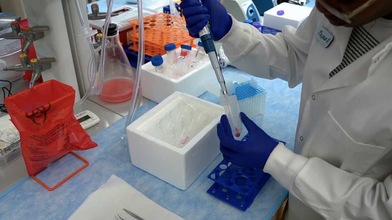 Author Spotlight: Advancements in Nanoparticle Technology for Drug Delivery and Immunotherapy