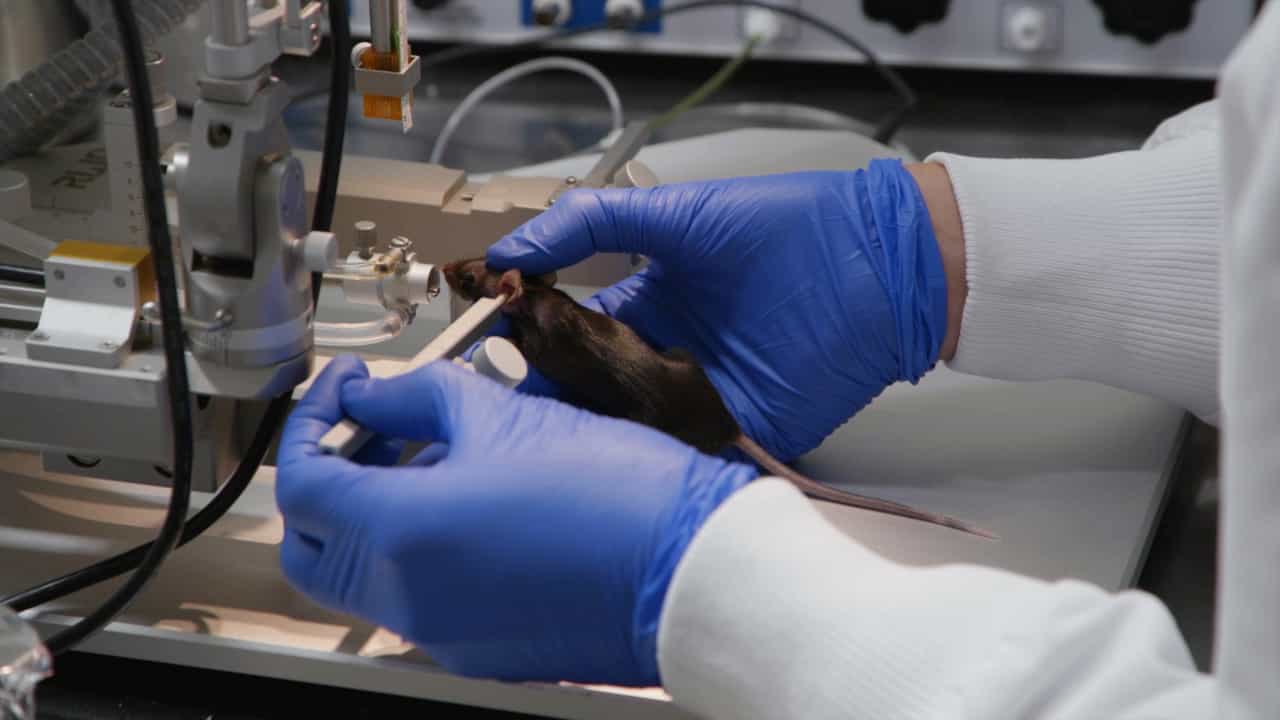Author Spotlight: Automated Infusion and Blood Sampling for Precise Hormonal Analysis in Conscious Mice
