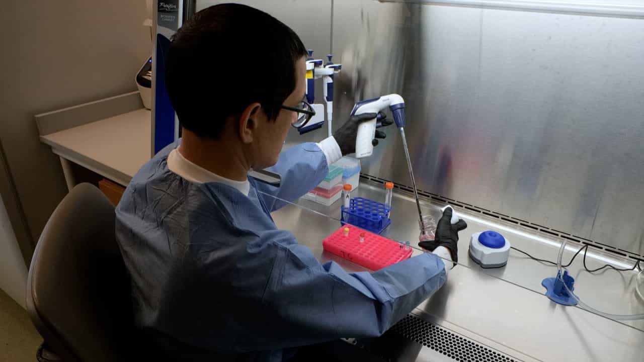 Author Spotlight: Enhancing CAR-T Cell Function in Syngeneic Tumor Models