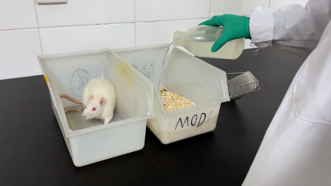 Chronic Unpredictable Mild Stress in Rats based on the Mongolian medicine