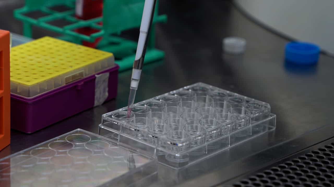 Author Spotlight: Isolation of Glial Cells from the Adult Mouse Spinal Cord