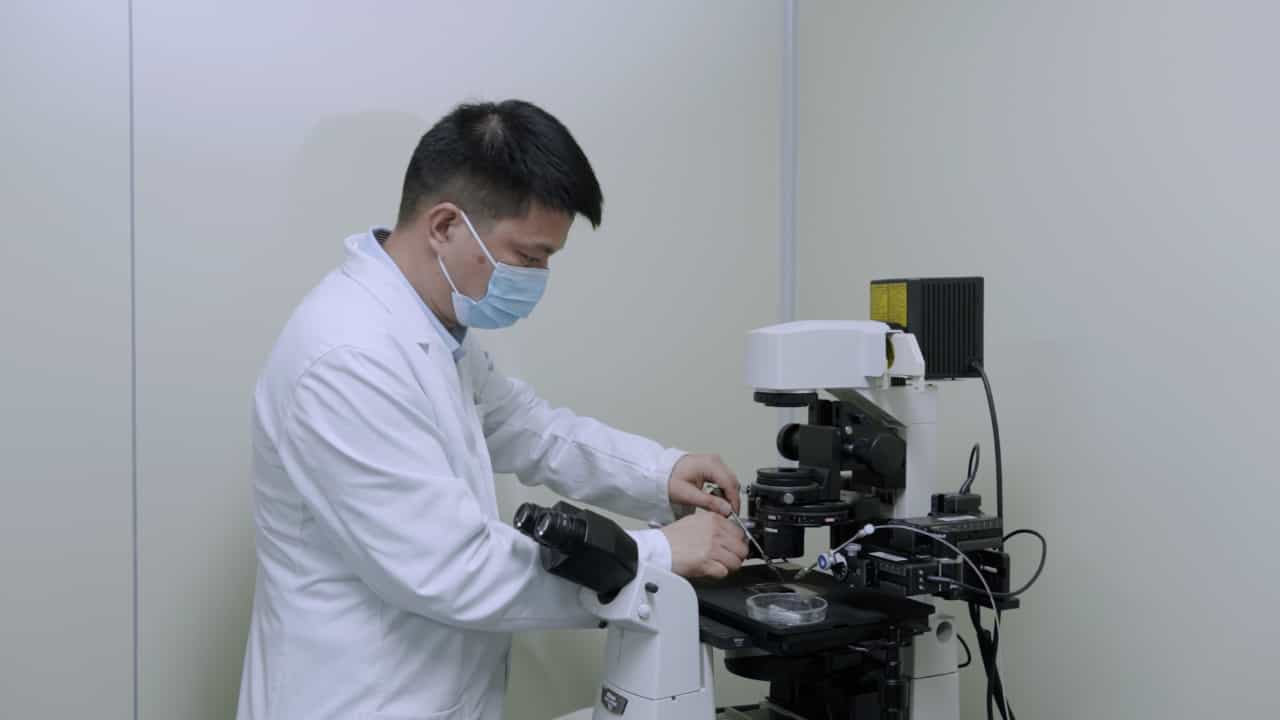 Mouse Round Spermatid Injection