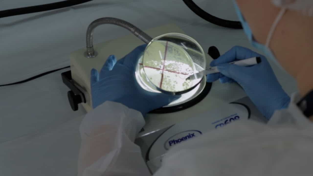 Author Spotlight: Exploring Photodynamic Therapy with Curcumin in a Murine Model for Oral Candidiasis
