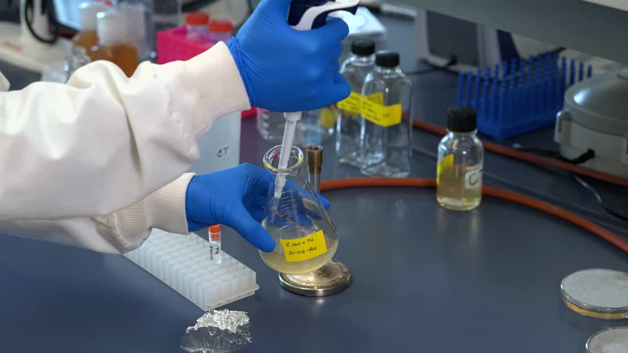 Author Spotlight: Investigating Bacteriophage-Induced Immune Responses in Gnotobiotic Mice