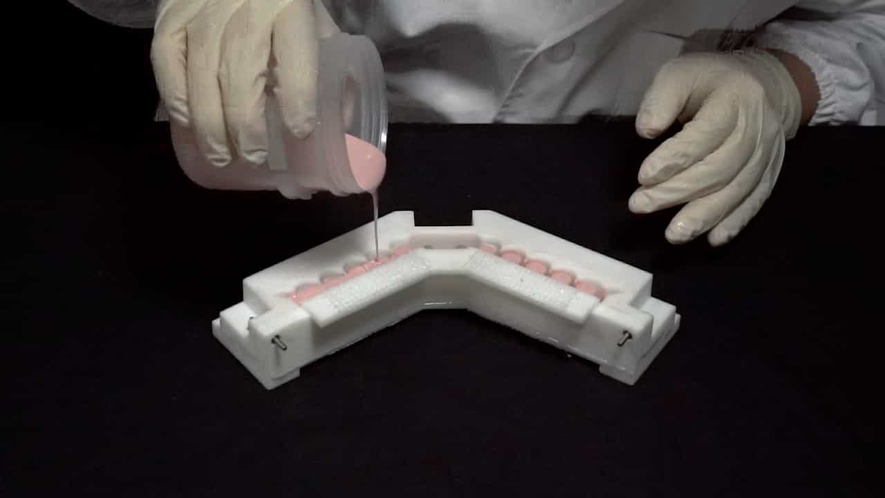 Author Spotlight: Enhancing Grasping Abilities for Hemiplegic Patients with Flexible Robotic Limbs