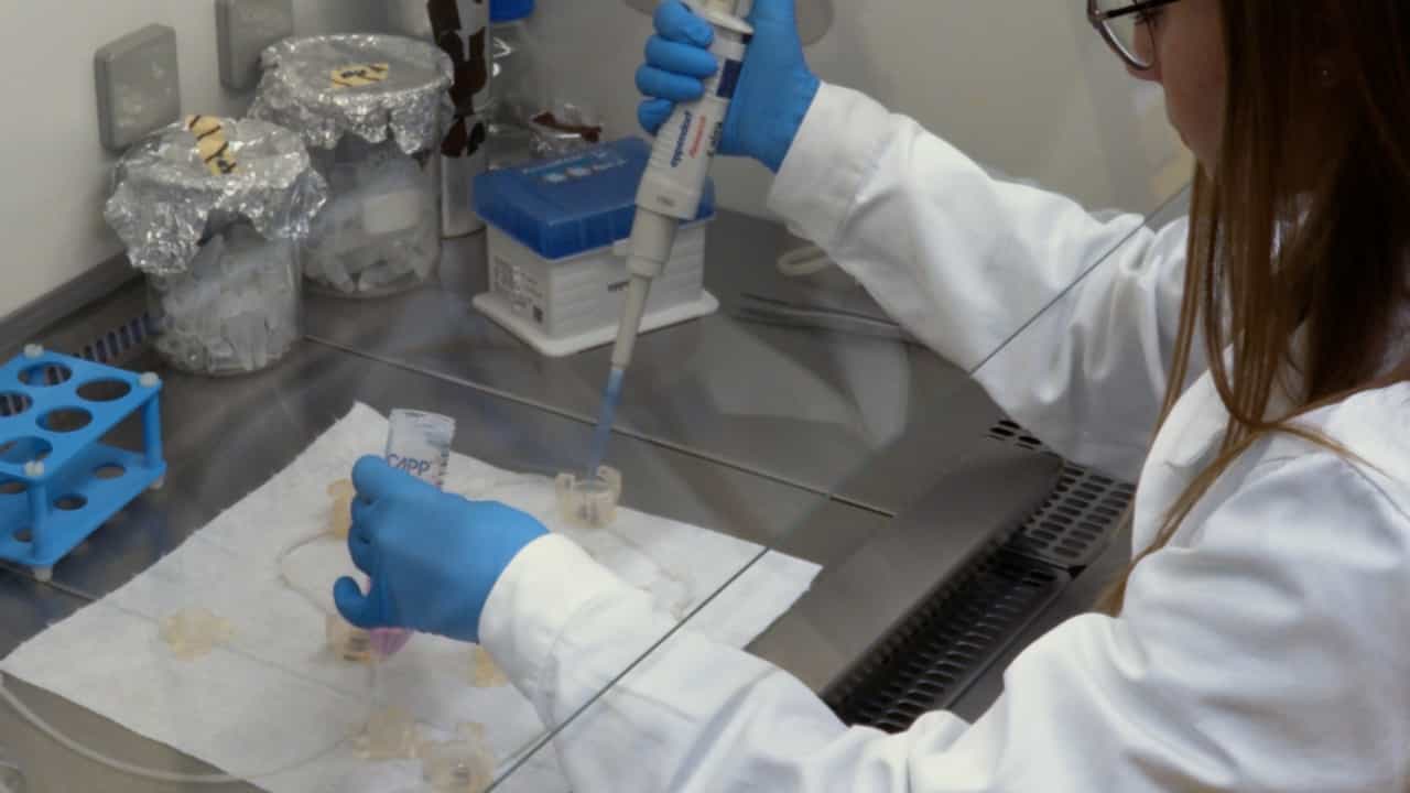 Author Spotlight: Advancing Research Through Single Cell Sequencing and Spatial Histology in Placental Tissues