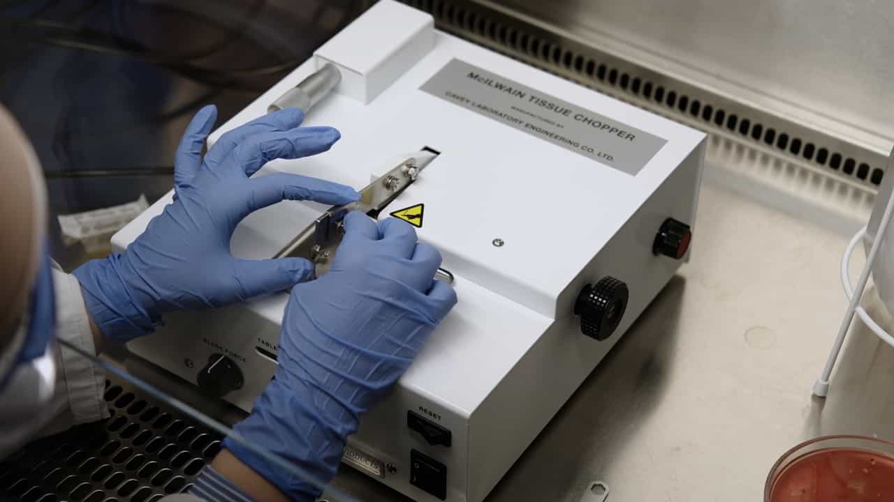Author Spotlight: Enhanced Generation of Patient-Derived 3D Organoids for Glioblastoma and Glioma