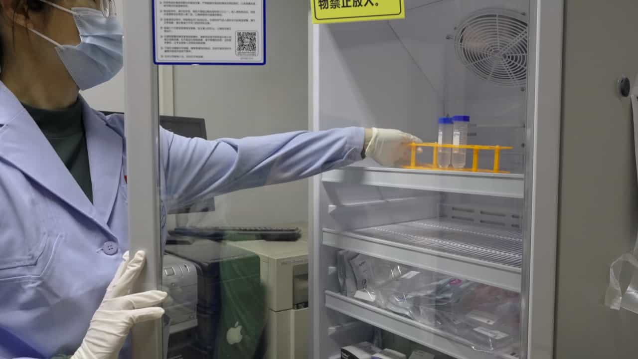 Author Spotlight: Aiding Research in Kidney Biology by Labeling Glomeruli in Cleared Tissues