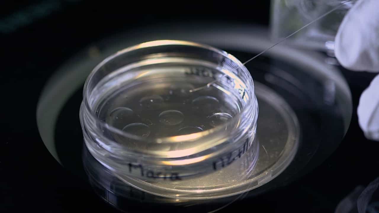Author Spotlight: Elucidating the Dynamics of Mechano-Transduction and Nuclear Agitation in Mouse Oocytes