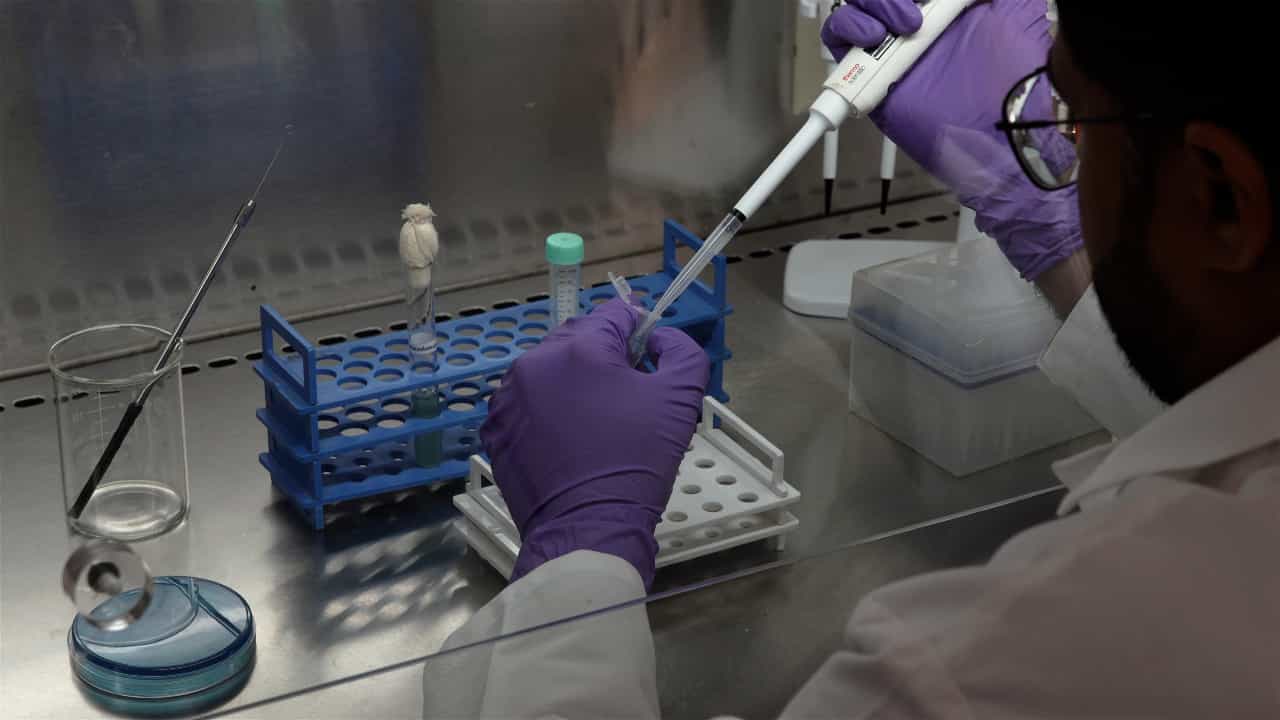 Qualitative and Quantitative Analysis of Siderophore Production from Pseudomonas aeruginosa
