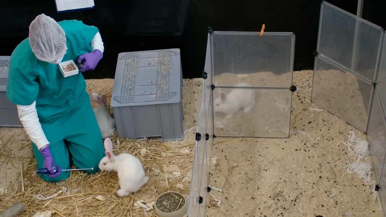 Author Spotlight: Training of Laboratory Animals for Gentle and Stress-Free Handling