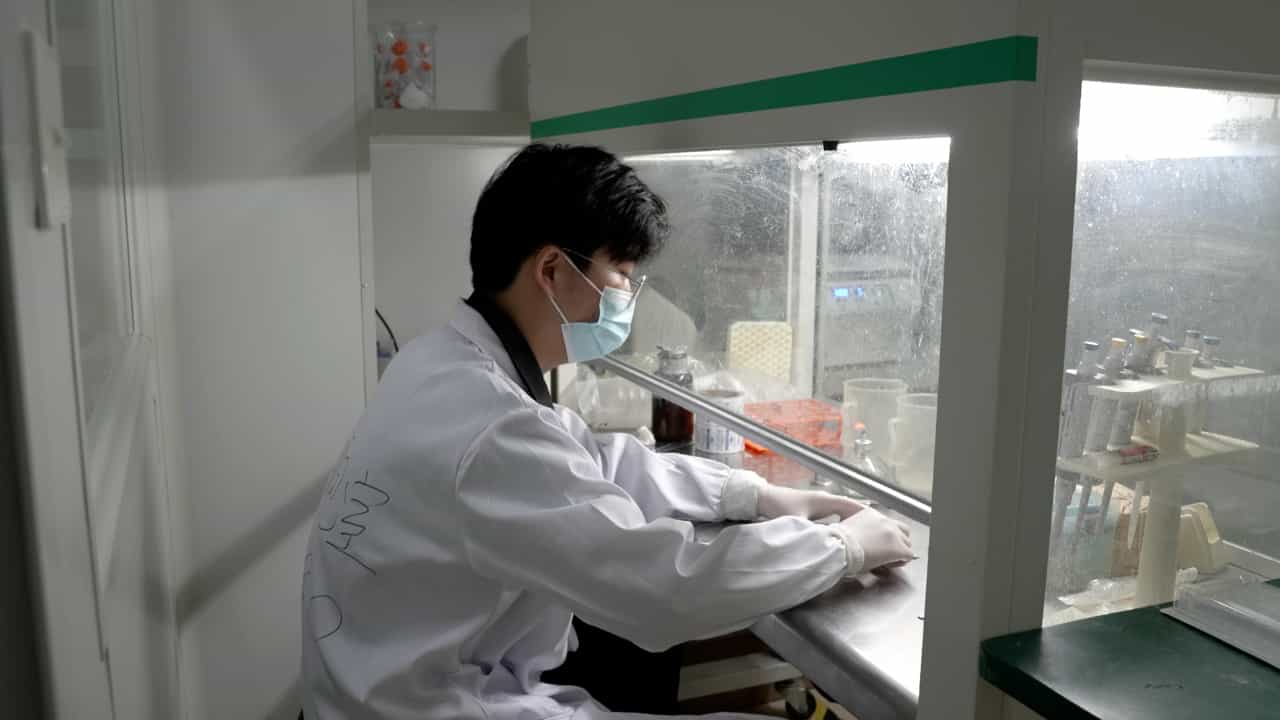 In Vivo Osteo-organoid Approach for Harvesting Therapeutic Hematopoietic Stem/Progenitor Cells