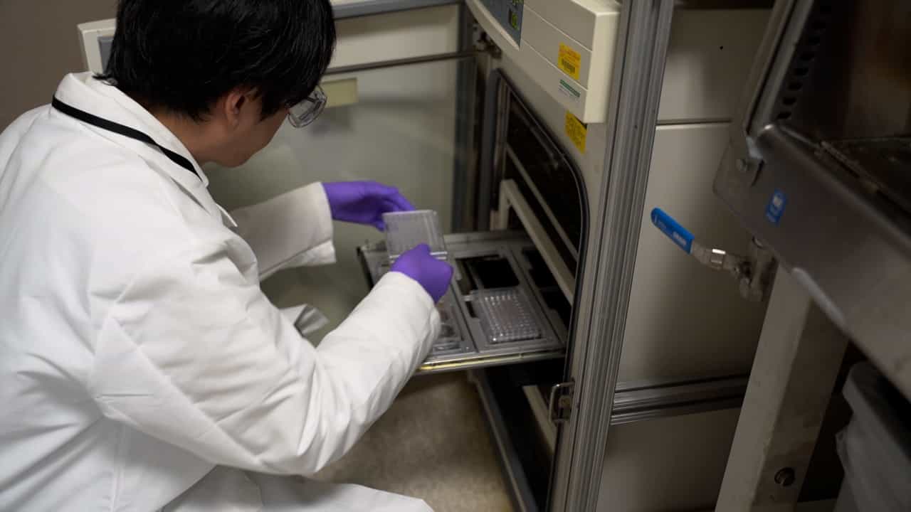 Author Spotlight: Quantifying Neutrophil Extracellular Traps in Disease and Drug Screening Using Dual-Color Live-Cell Imaging