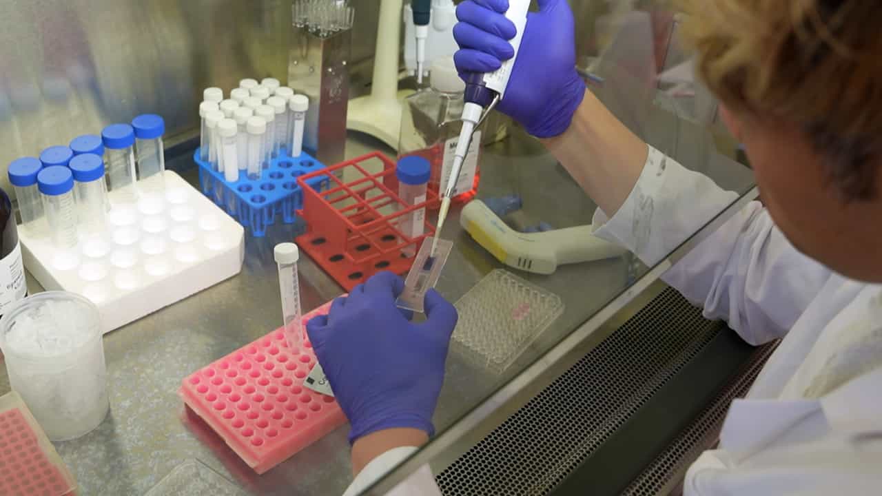 Author Spotlight: Assessing the Potential of Circulating Tumor Cells in Leptomeningeal Disease Research