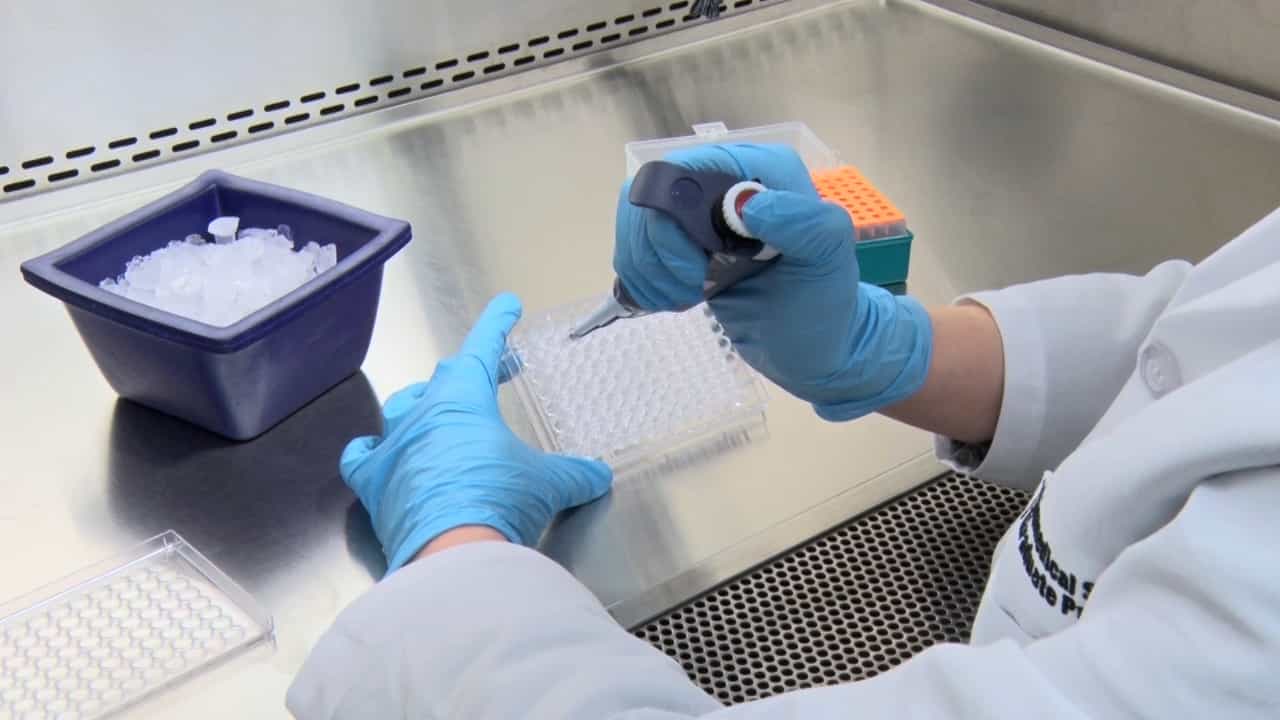 Author Spotlight: Developing Multiplexed Kinetic Assays for Organoid-Based Drug Response Analysis