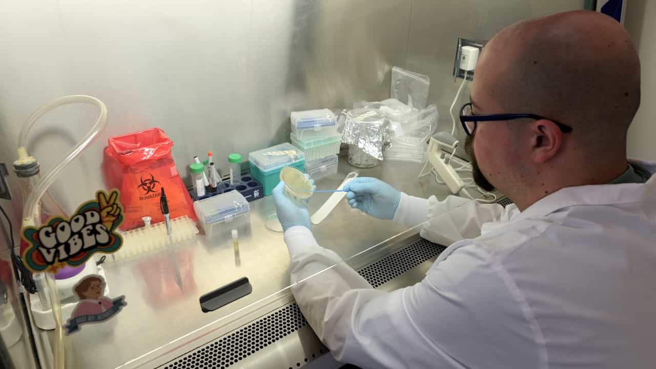 Generation of a RIP1 Knockout U937 Cell Line Using the CRISPR-Cas9 System