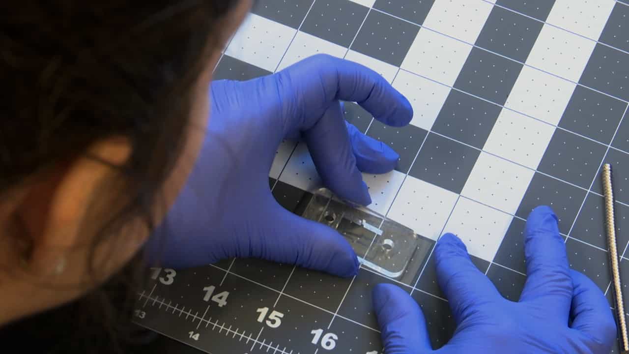 Transforming Static Barrier Tissue Models into Dynamic Microphysiological Systems