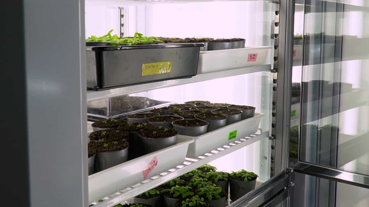 Author Spotlight: Advancing Stomatal Research with Automated Aperture Measurement