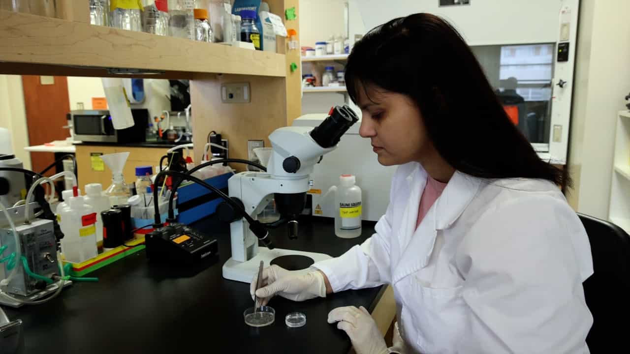 Author Spotlight: Exploring the Frontier of mRNA Research with Poly A Tail Analysis Techniques