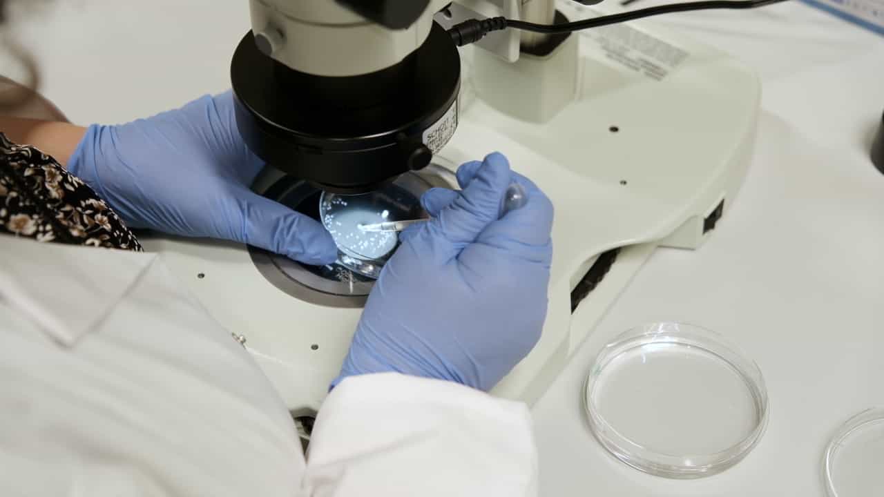 Author Spotlight: High-Throughput Toxicity Screening Using Zebrafish Embryo Startle Response Assay