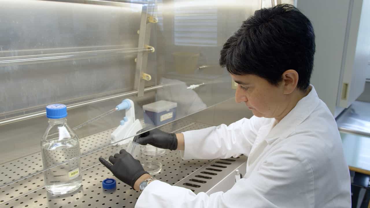 Author Spotlight: Studying Cardiac Cell-Matrix Interactions In Vitro