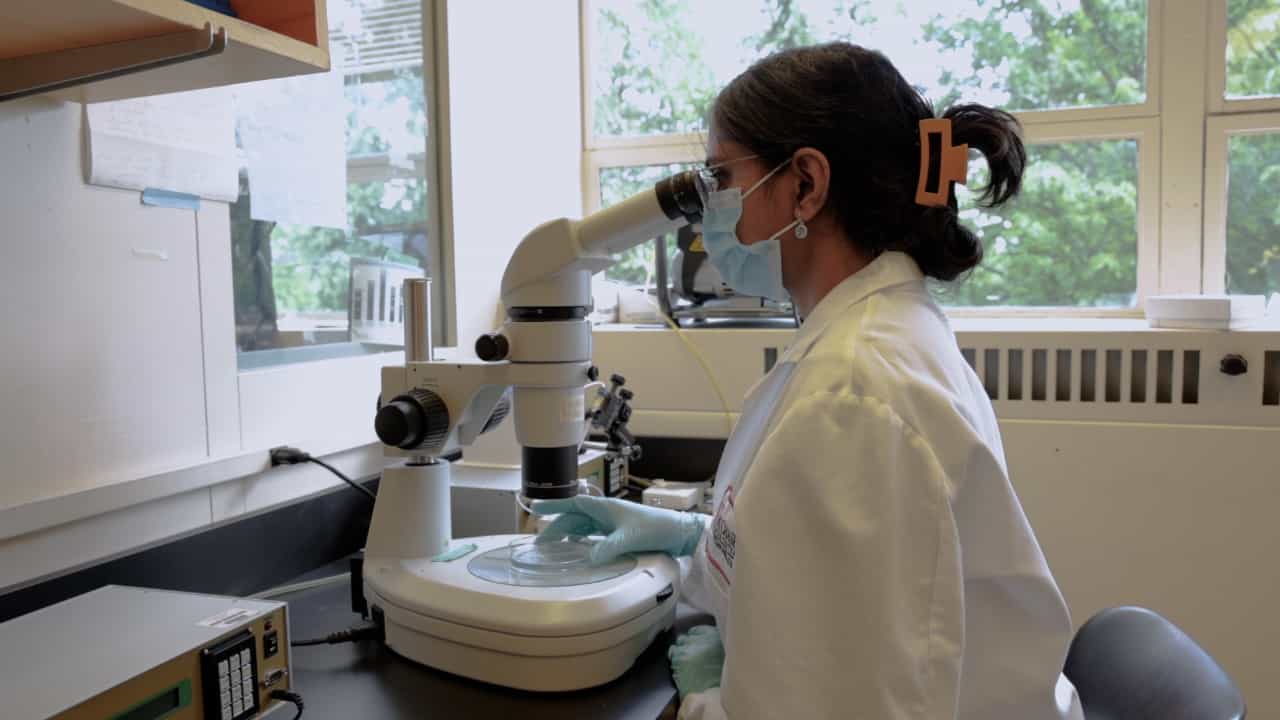 Author Spotlight: Advancing Cancer Therapeutics Using Tumor Xenotransplantation in Zebrafish
