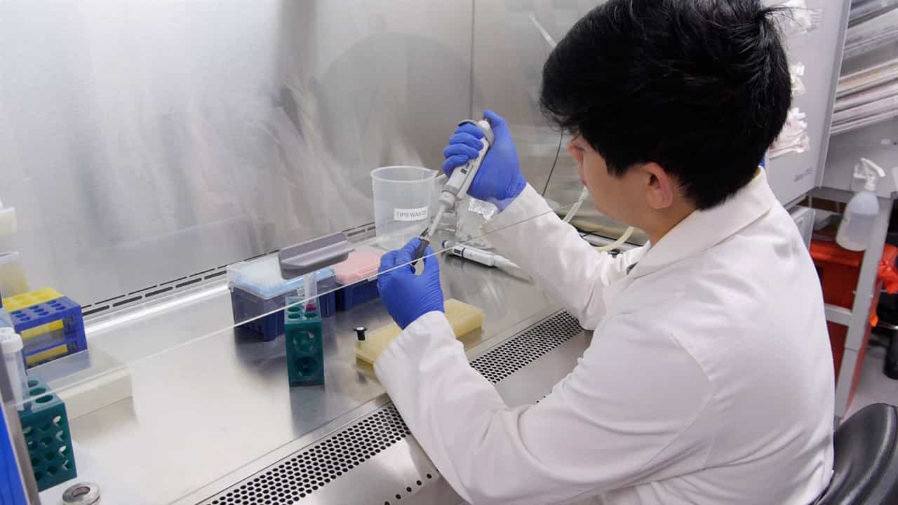 Author Spotlight: Evaluation of Protein-Condensate Dynamics in Live Human Cells