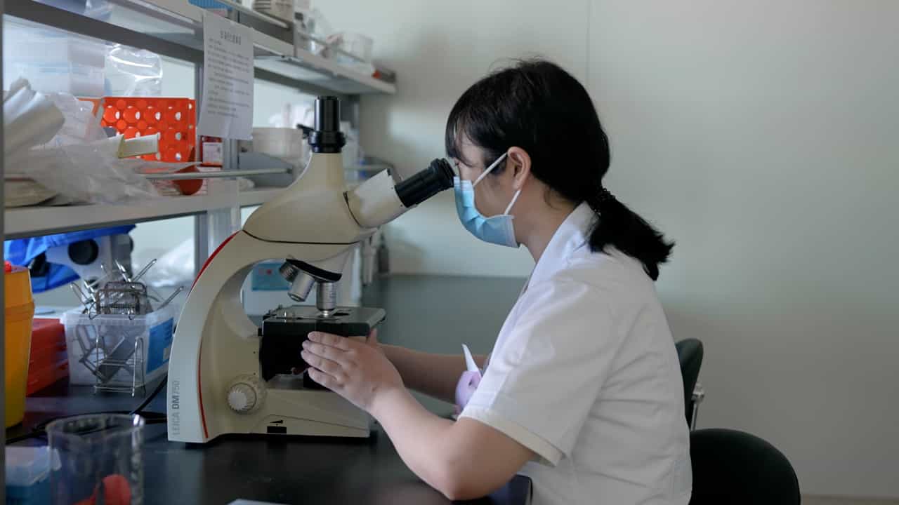 Antagonistic Effect of Jiawei Shengjiang San on a Rat Model of Diabetic Nephropathy: Related to EGFR/MAPK3/1 Signaling Pathway