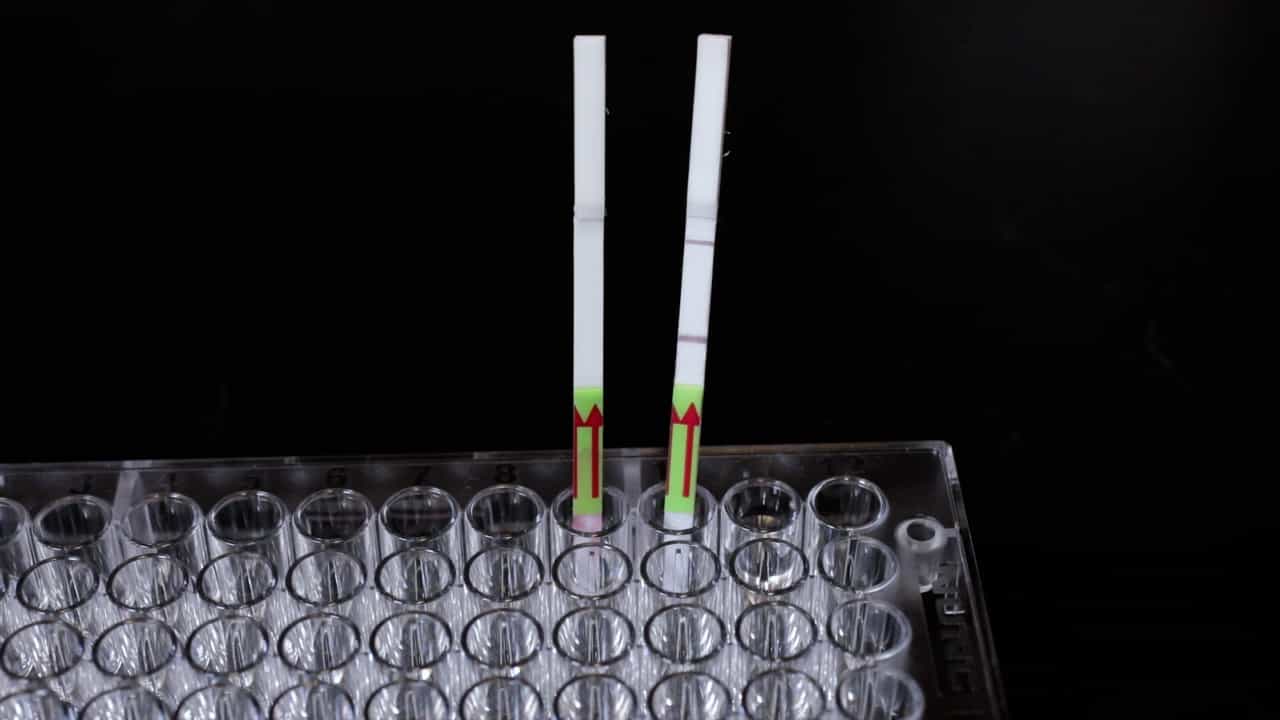 Author Spotlight: Engineering Molecular Tools for Disease Detection and Imaging