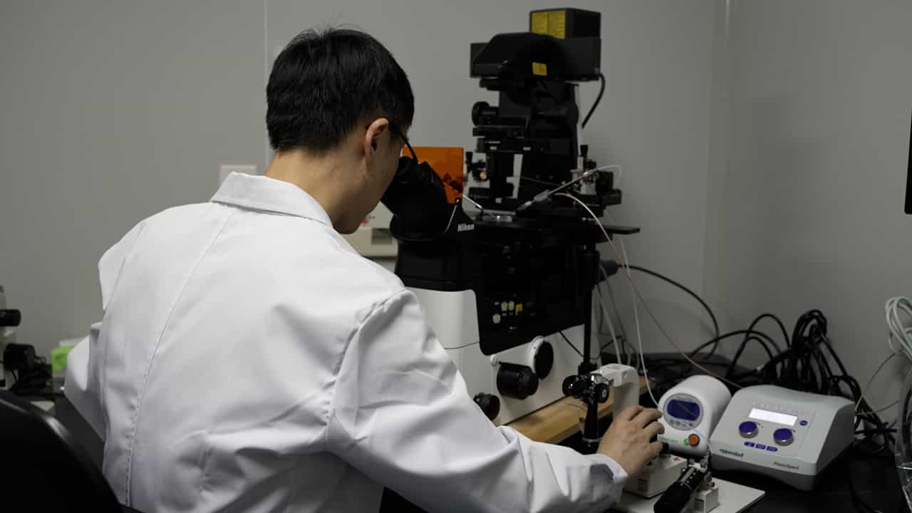 Author Spotlight: Exploring the Long-Term Health Impacts of Intracytoplasmic Sperm Injection on Offspring