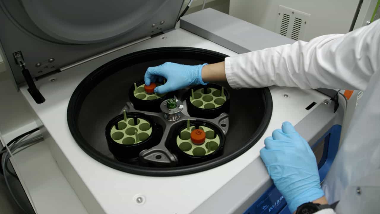 Author Spotlight: Integrating Organoid Models with Single-Cell and Spatial Transcriptomics Technologies