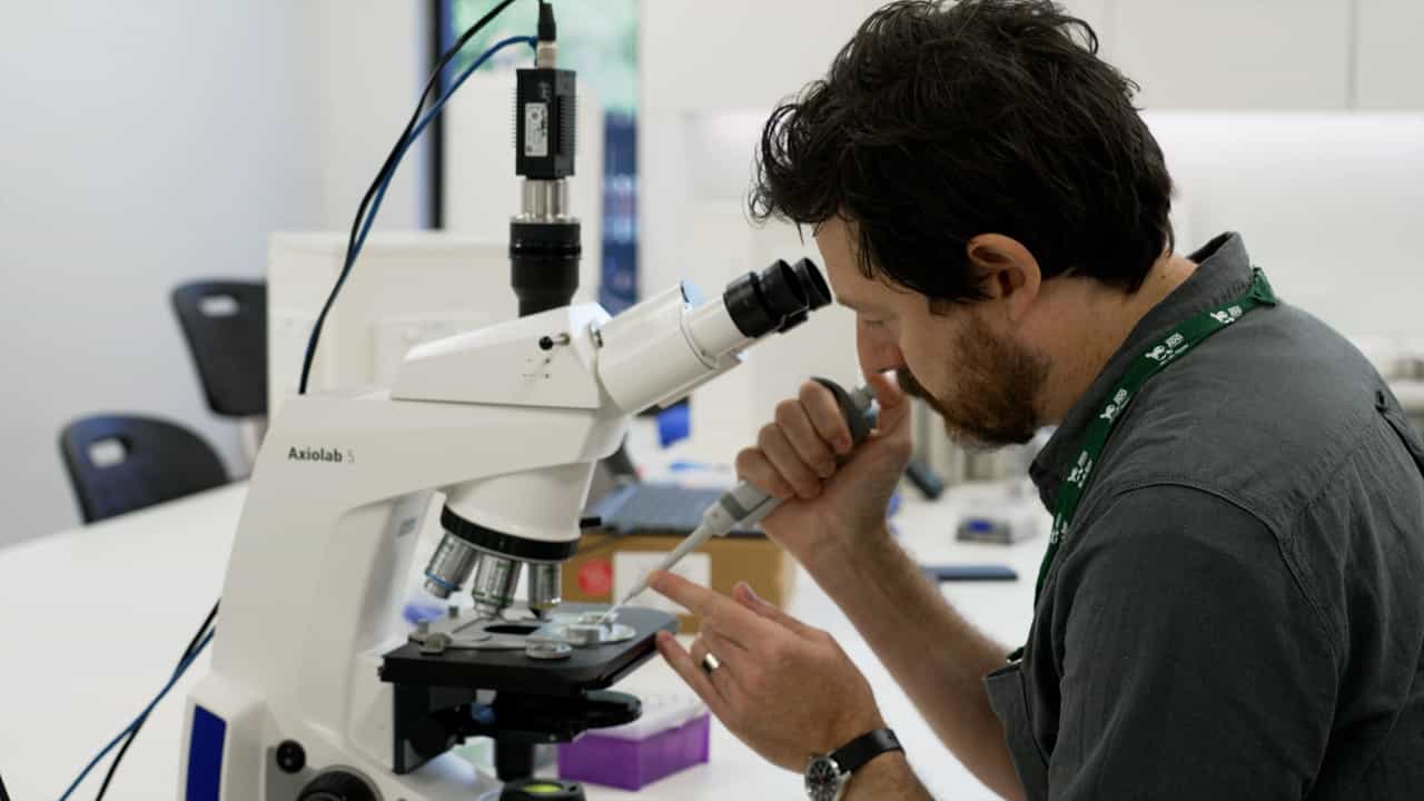 Author Spotlight: Developing Efficient Cryopreservation and Biobanking Technologies for Global Reef Restoration