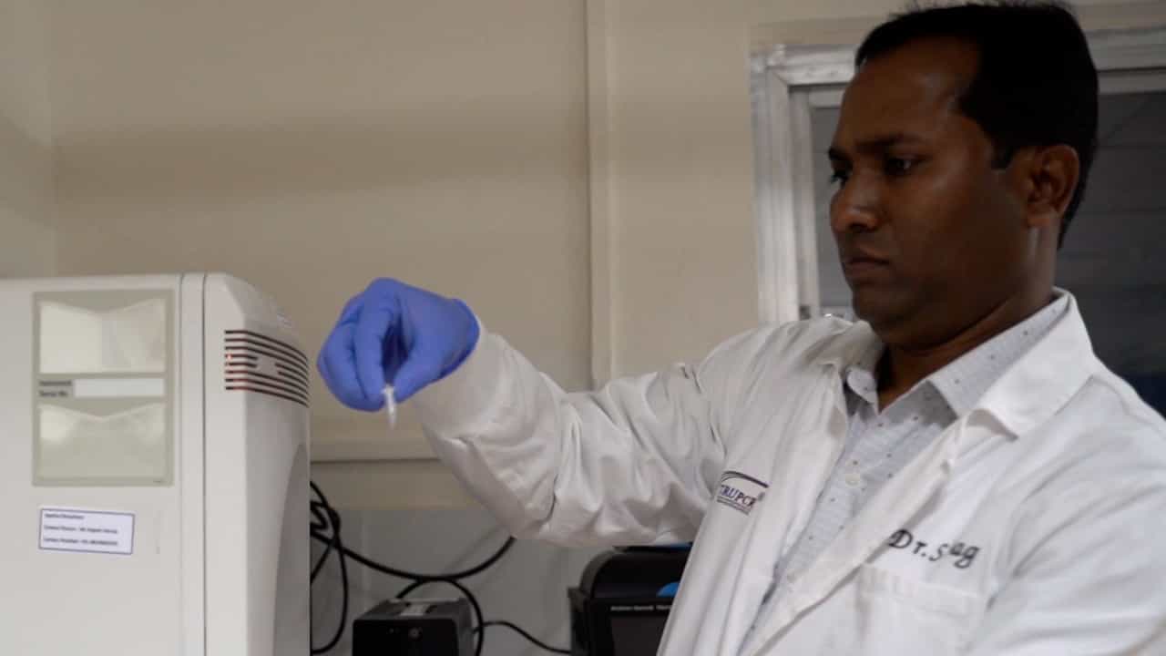 Real-Time Polymerase Chain Reaction-Based Detection and Quantification of Hepatitis B Virus DNA