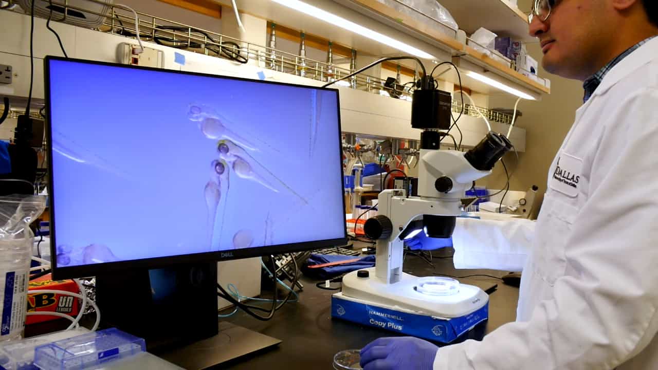 Author Spotlight: High-Resolution 4D Light-Sheet Imaging and Virtual Reality in Zebrafish for Single-Cell Analysis of Heart Function