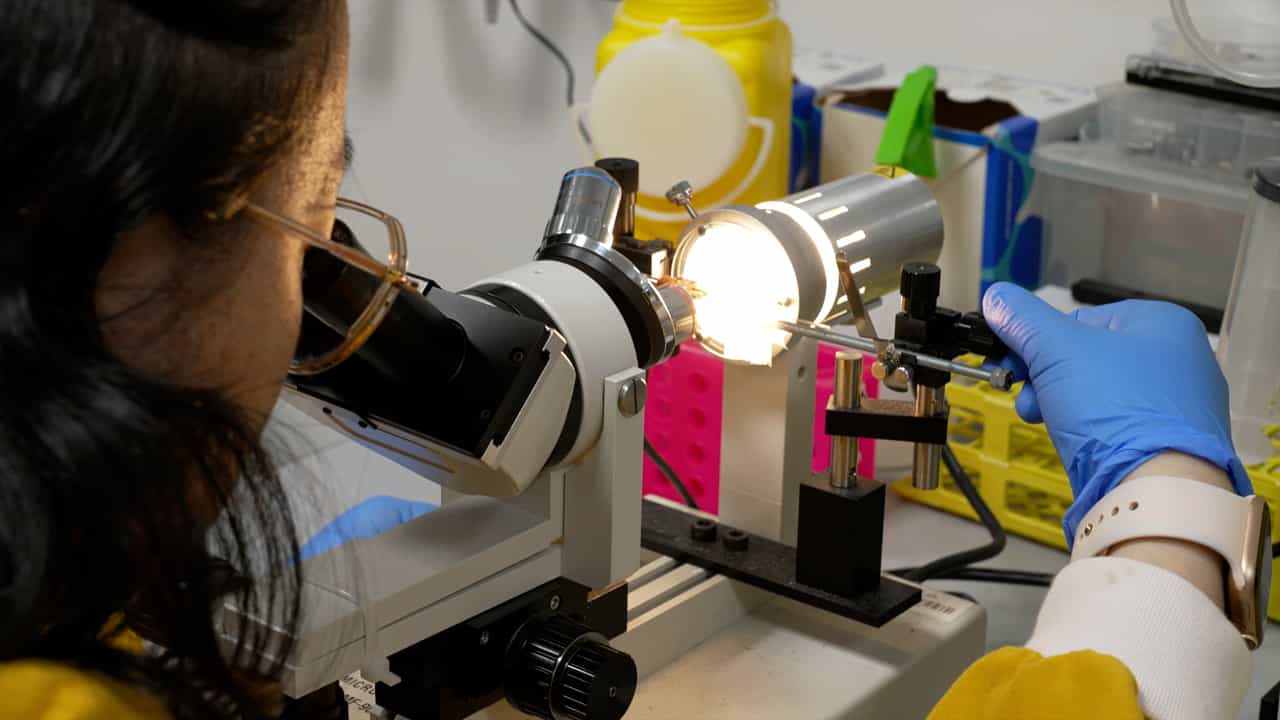 Author Spotlight: Advancing Live-Cell Mechanobiology Through Fluorescence Microaspiration