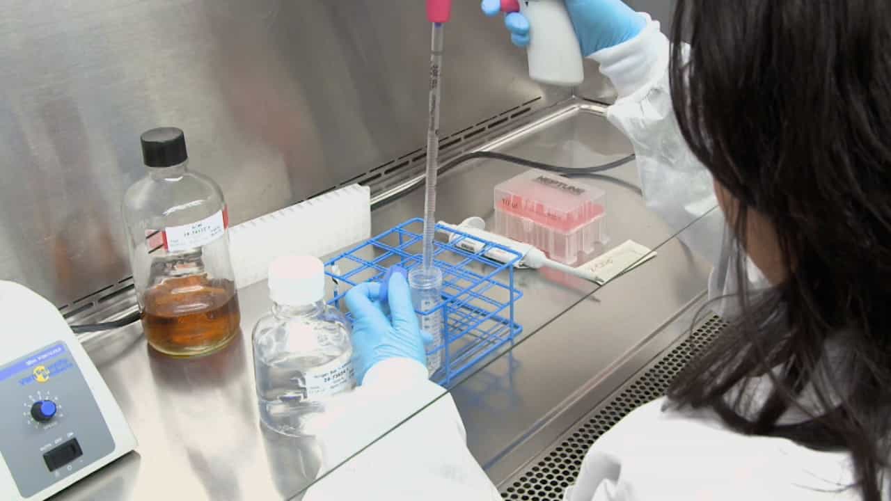 Author Spotlight: Studying Behavior of Acanthamoeba to Develop Targeted Strategies for Preventing Acanthamoeba Keratitis