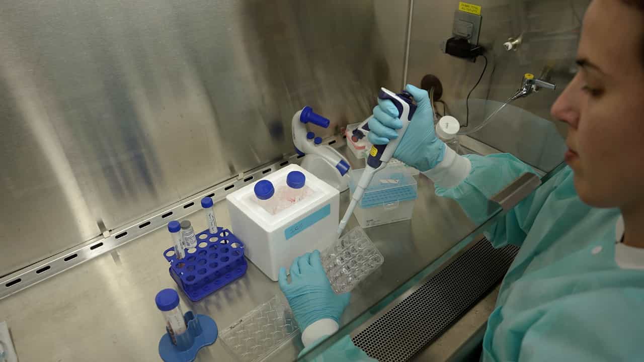 Author Spotlight: Advancing Organoid Generation for Drug Development Using iPSCs