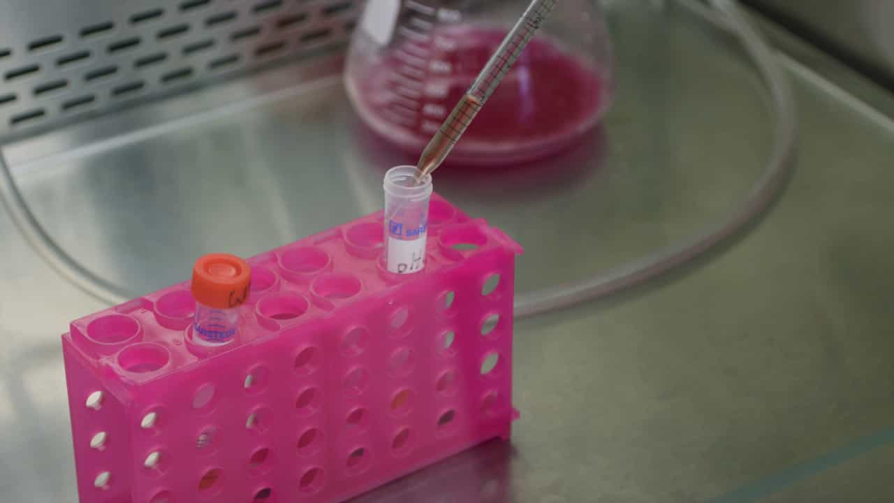 Author Spotlight: Advancements in Glycosomal pH Monitoring in Trypanosoma brucei Using pHluorin2 Biosensor