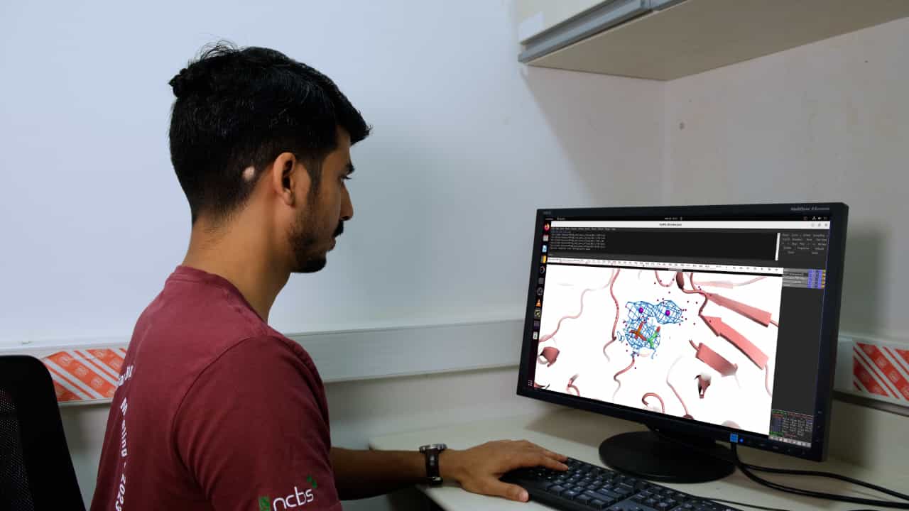Author Spotlight: Exploring Cellular Processes by Modeling Ligands in Cryo-EM Maps