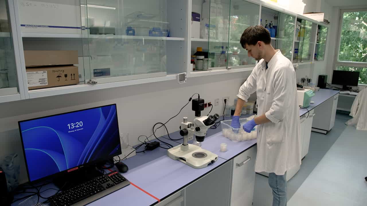 Measuring Associative Learning in Chemotaxis of the Nematode Caenorhabditis elegans