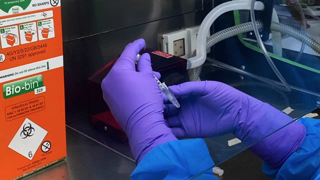 Author Spotlight: Exploring the Lifespan Dynamics of Healthy Human Hematopoiesis