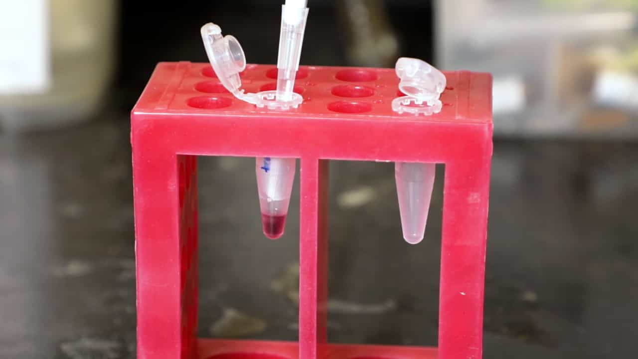 AQRNA-seq for Quantifying Small RNAs