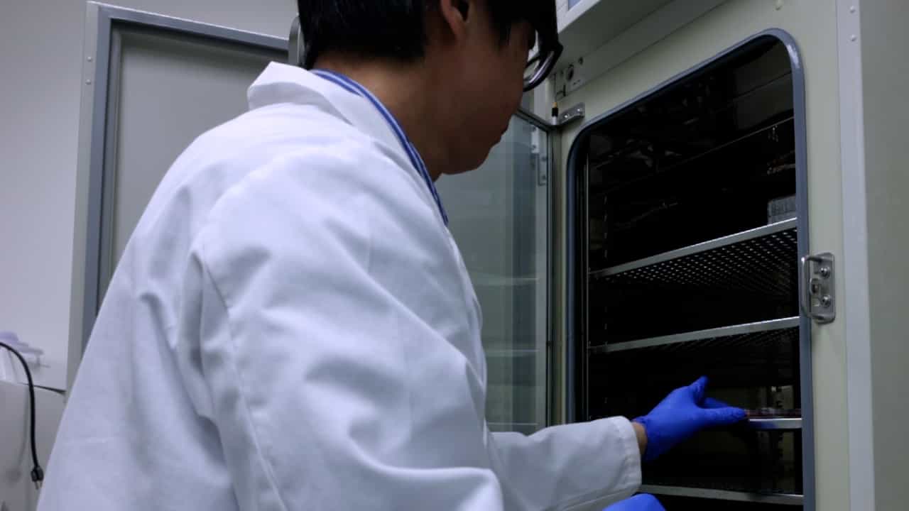 Author Spotlight: In Vitro Investigations of Circadian Rhythms in Multicellular Systems