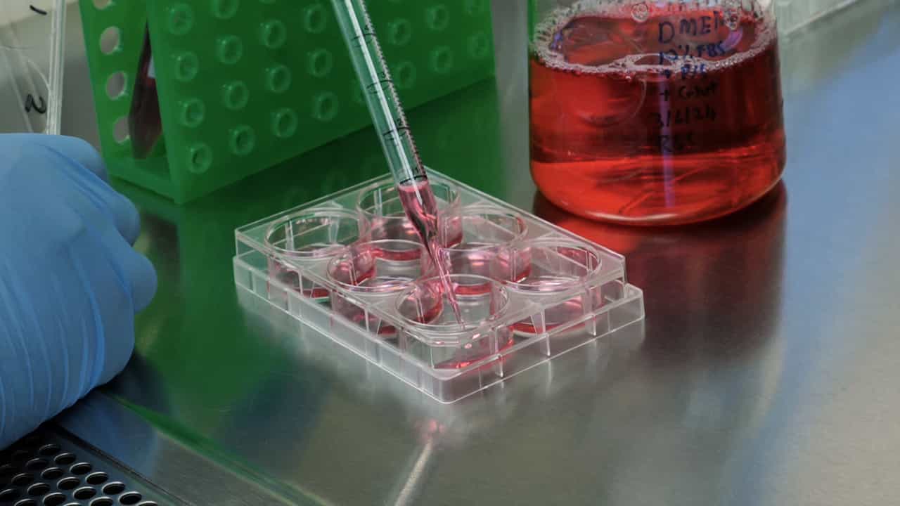 Author Spotlight: Integrating BRET-Based Assays and Rare Mutation Analysis to Decipher RAF Kinase Regulation in Live Cells