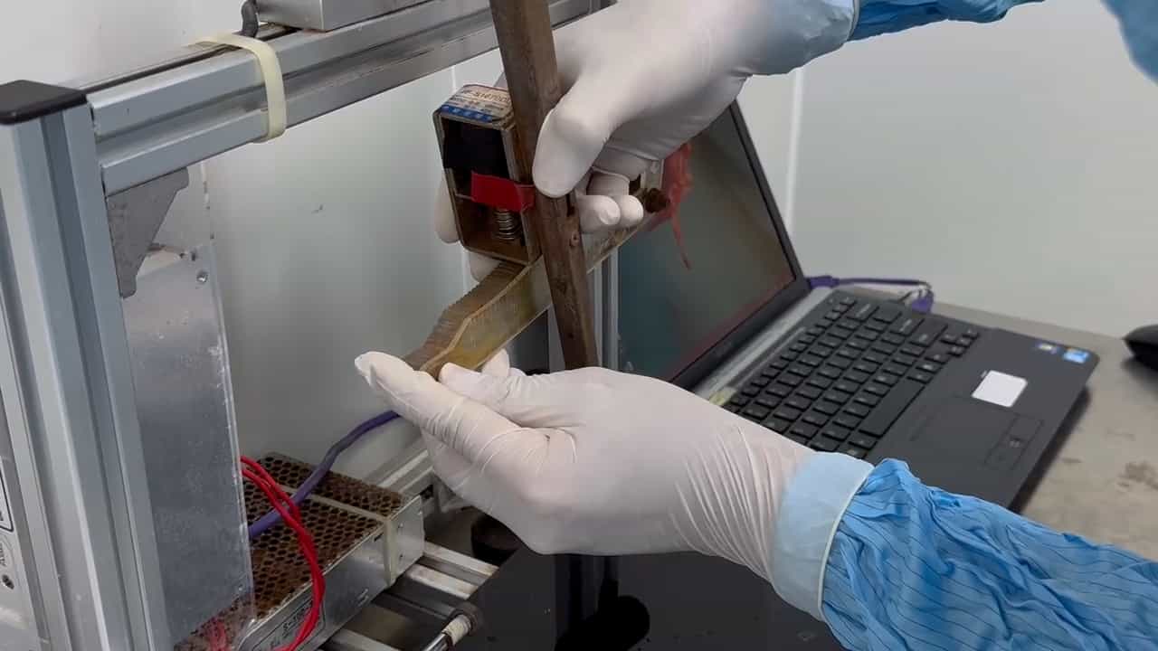 Modified Mouse Model of Repetitive Mild Traumatic Brain Injury Incorporating Thinned-Skull Window and Fluid Percussion