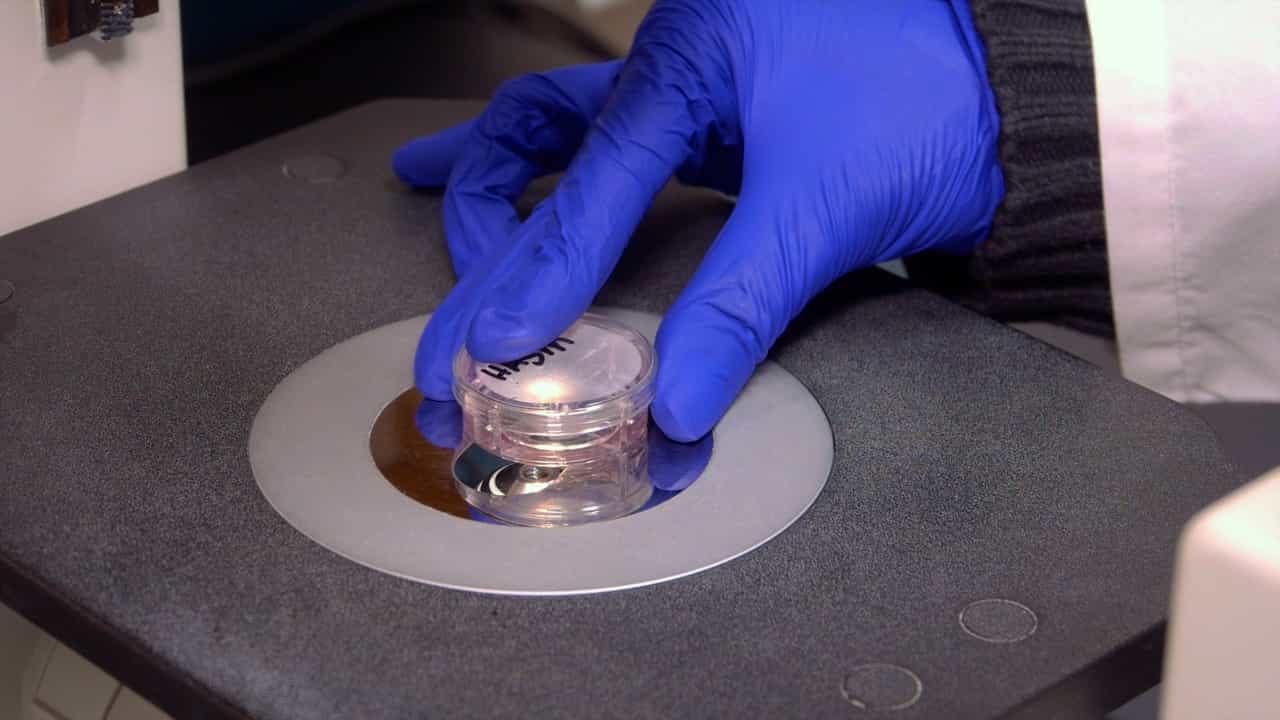 Author Spotlight: Advancing Real-Time cAMP Detection in Cells Using cADDis Biosensor