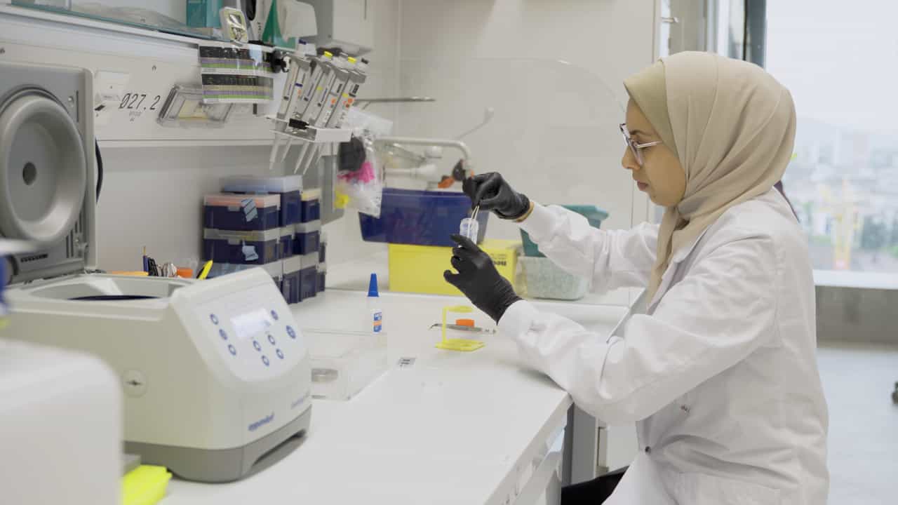 Author Spotlight: Unraveling Bacterial Responses to Antibiotics and Immune System in Tissues