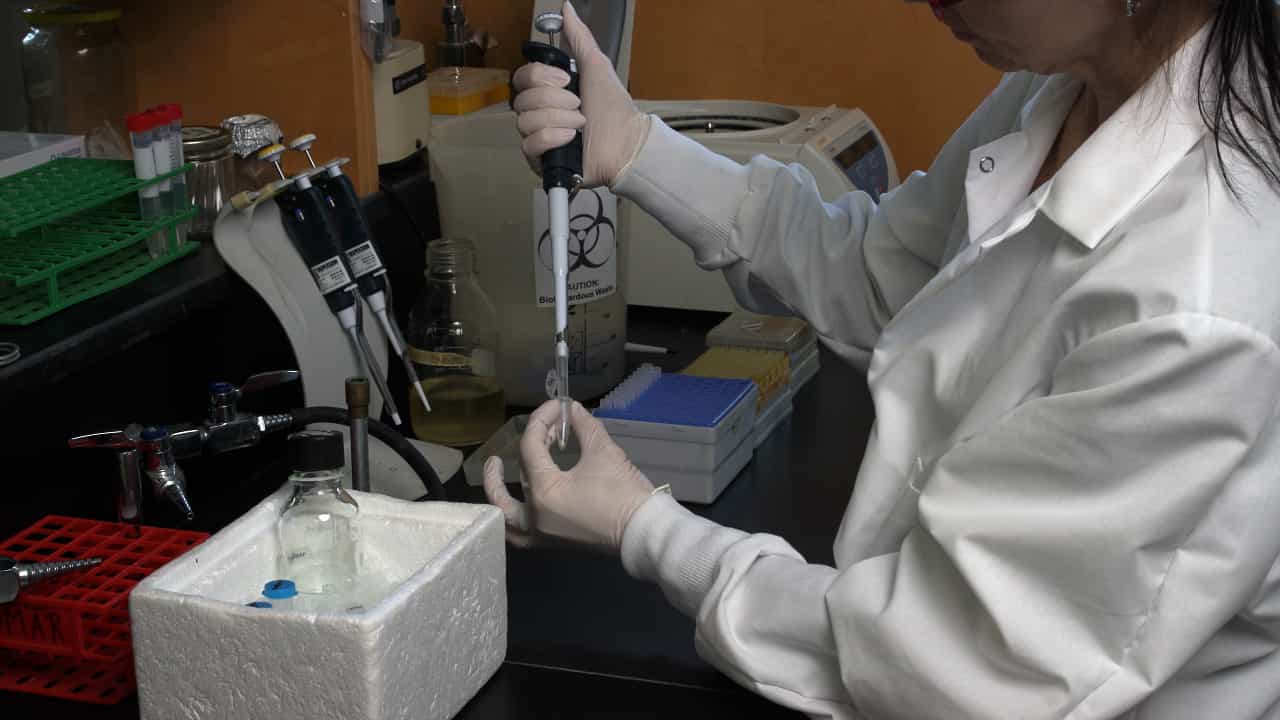 Author Spotlight: Advancing Antibiotic Resistance Research Using an Efflux-Deficient Bacterial Strain and a Single-Copy Gene Expression System