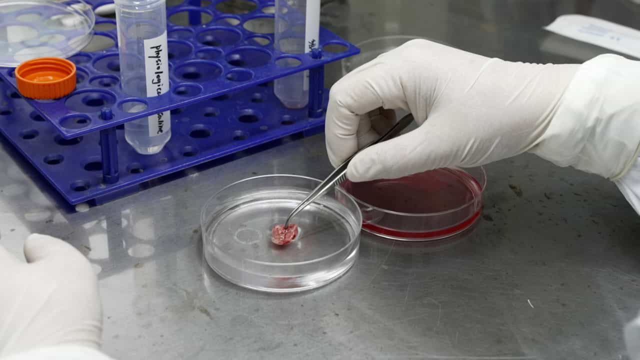 Author Spotlight: Replicating Human Osteosarcoma Progression in Immunodeficient Mice for Cancer Study